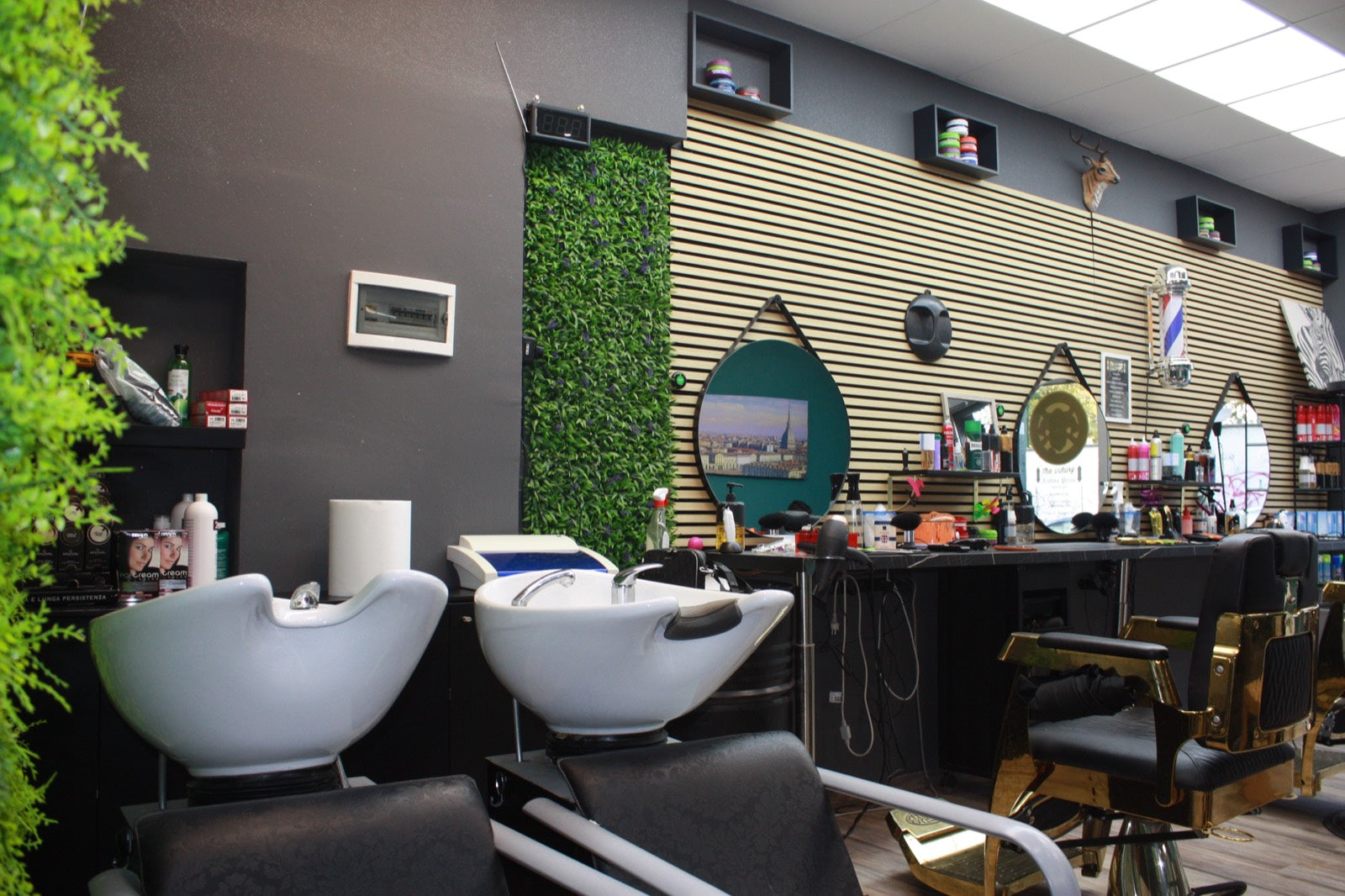 Interno The Viking Via Germonio
